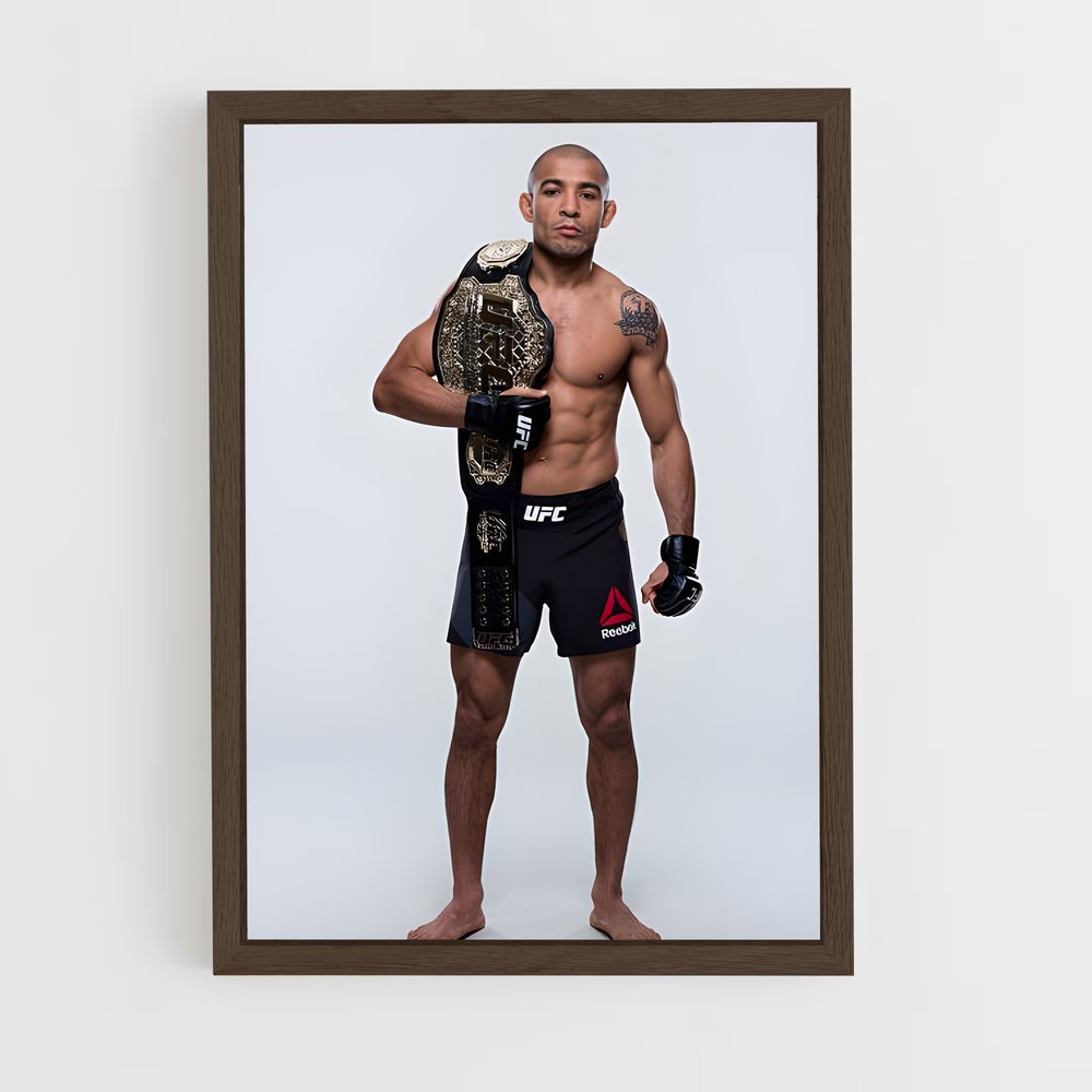 Poster Aldo Champion – affiche MMA (vue 5)